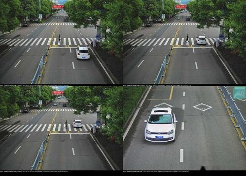 南京骑行团最新爆料消息,探寻古城新韵，骑行之旅精彩瞬间！