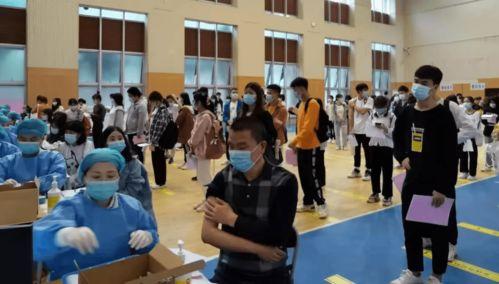 陕西小庄爆料案件最新消息,案情再掀波澜，真相逐步浮出水面